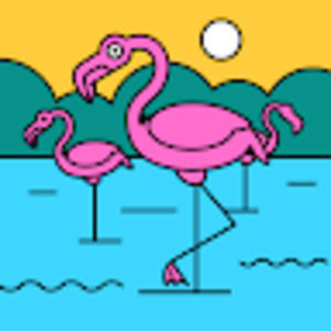 Meet your Posher, Carson